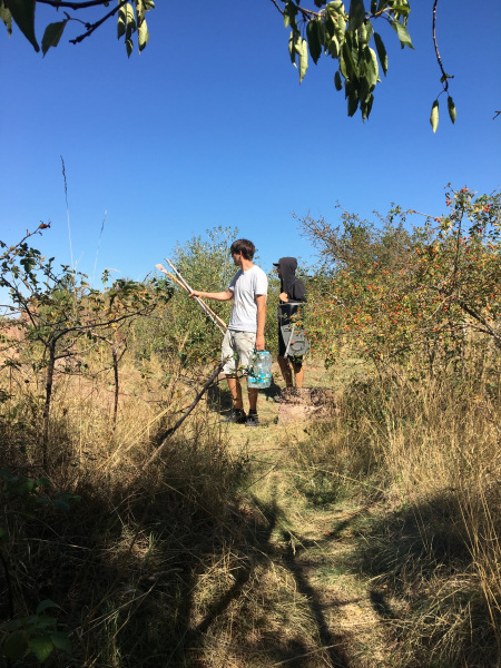 GO BACK TO NATURE Komm raus malen!