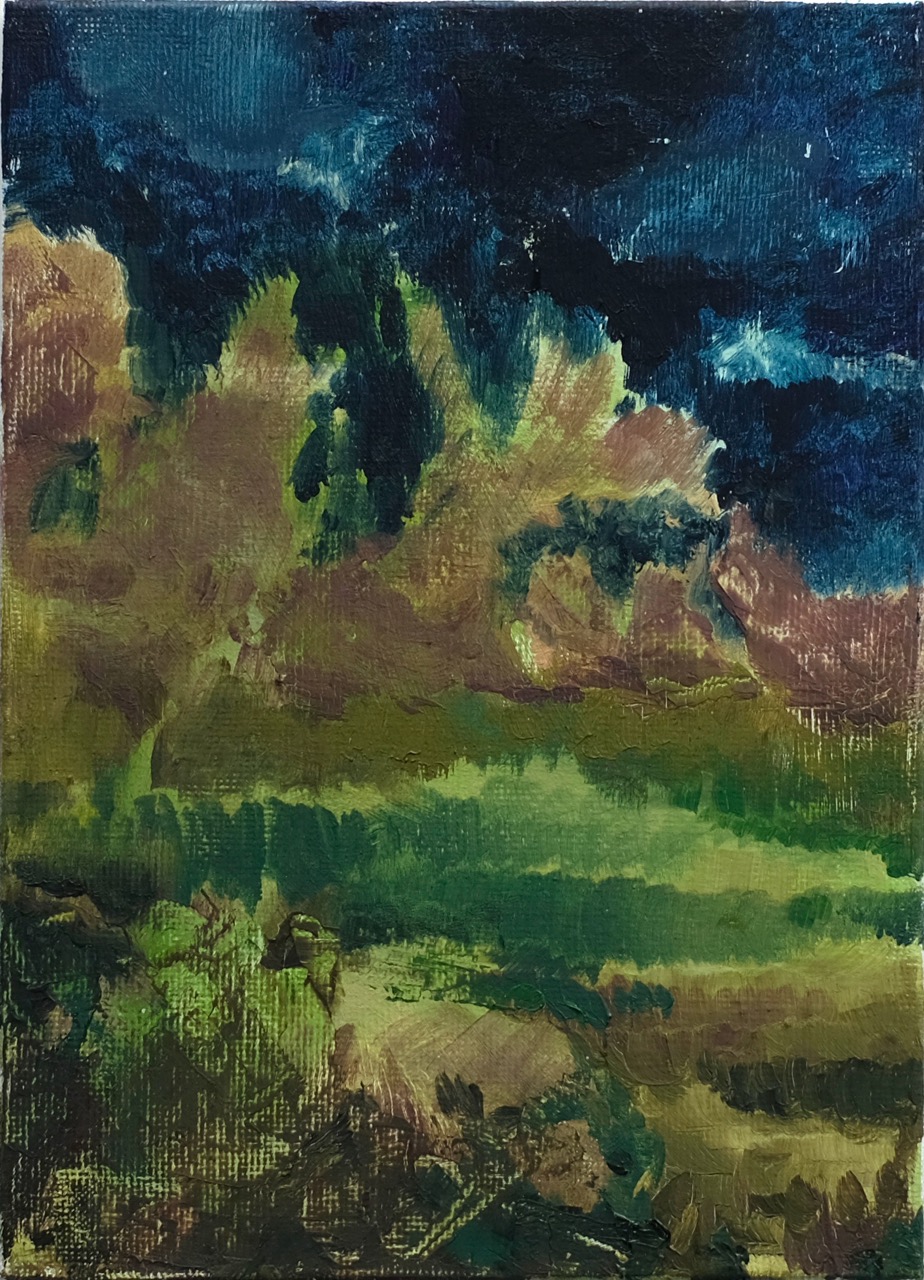Land_s. 24x15 cm, Acryl auf Leinwand, 2026